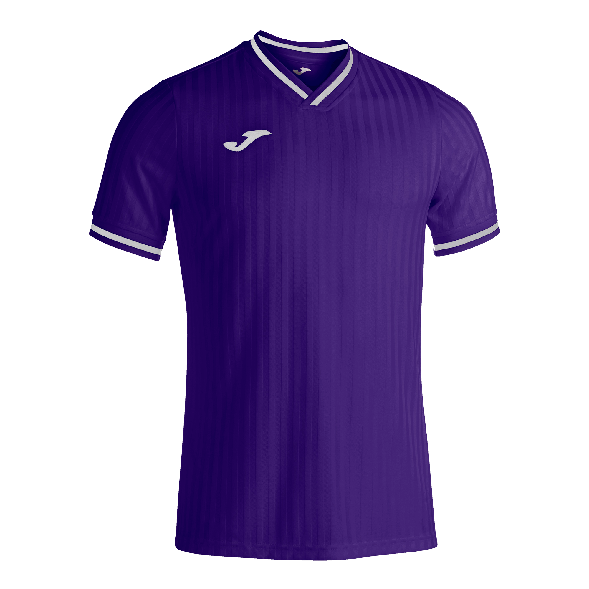 Волейбольная футболка мужская Joma TOLETUM III Фиолетовый